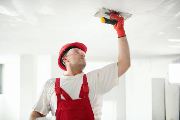  Lake Placid, FL Drywall & Painting Services Pros